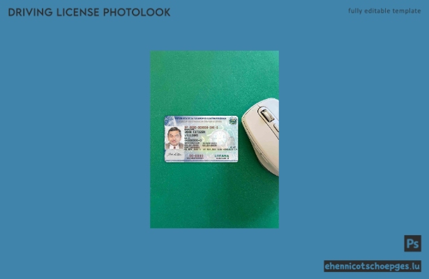 Beispielvorschau für das Foto des Führerscheins in El Salvador